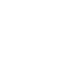3ds logo